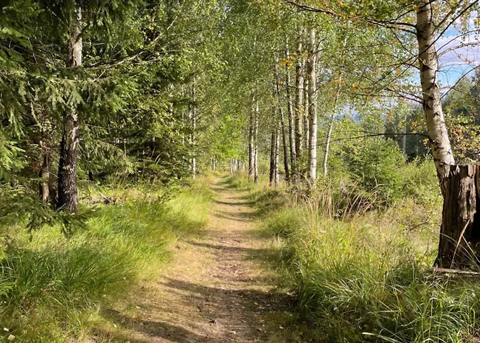 Na Polane Chalé Otilia